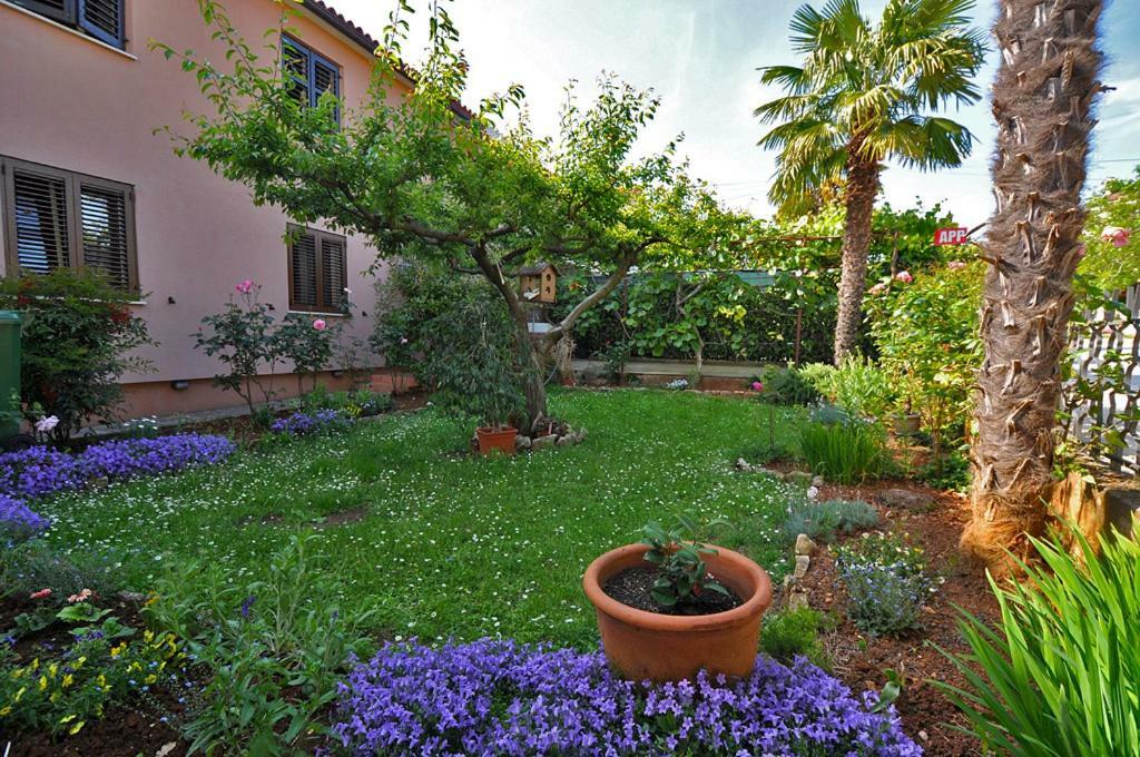 Casa Istriana Apartment Novigrad  Luaran gambar