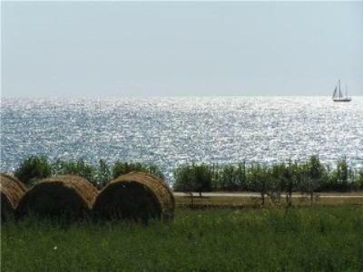 Casa Istriana Apartment Novigrad  Luaran gambar